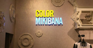 室內(nèi)廣告招牌 color mikibana