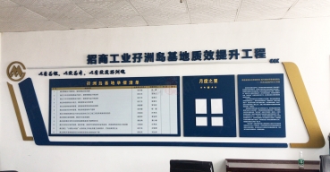 招商工業(yè)孖洲島基地形象背景墻制作案例